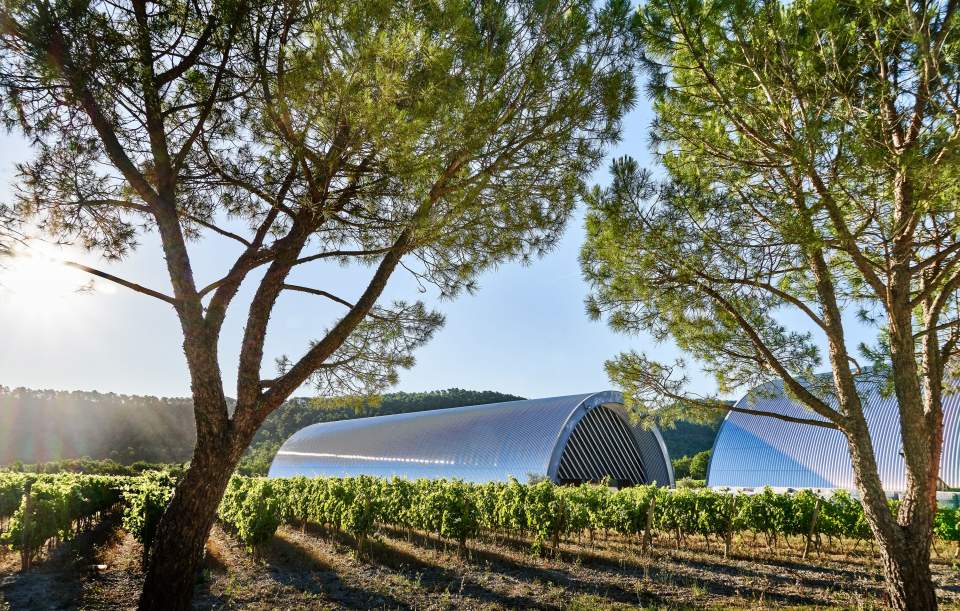 Jean Nouvel's aluminium barrel-vaulted winery at Château La Coste, seen through stone pines above the vines