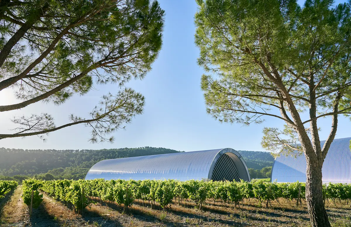Jean Nouvel's aluminium barrel-vaulted winery at Chateau La Coste, seen across the rows of vines through two stone pines